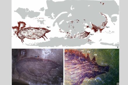 Source A. A. Oktaviana, ARKENAS/Griffith University.