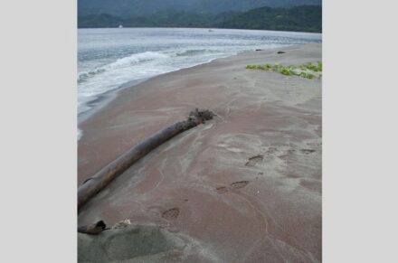 Granatsandstrand auf Goodenough Island, Papua-Neuguinea. Foto: Paul Fitzgerald