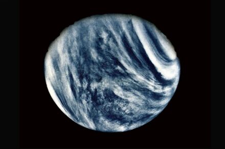 Am 5. Februar 1974 nahm die NASA-Mission Mariner 10 diese Nahaufnahme der Venus auf. Bild: Nasa