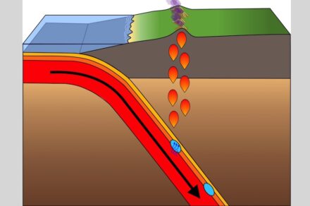 In den Subduktionszonen tauchen Erdplatten in den Mantel ab und können über Minerale wesentliche Mengen Wasser mit sich tragen. Bild: Yonsei-Universität, Yoonah Bang (nach Plank & Manning (2019)
