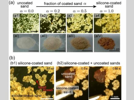 Microscopy images (top) and corresponding piles of sand (bottom) for different mixing ratios of coated and uncoated sand. (b) Microscopy images showing threads of silicone oil between coated sand particles, and the lack of threads between uncoated and coated grains. Credit: Tokyo Metropolitan University