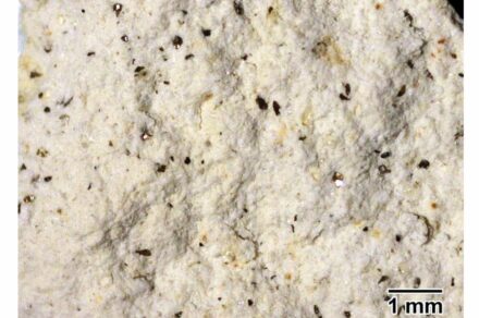 Die Vulkanasche, ein sehr leichtes Gestein, zeichnet sich durch stickstoffreiche Silikatminerale (weiß) und dunkle Glimmerkristallen aus. Foto: Gernot Arp