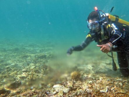 Grundwasserquelle in einem Riff vor Lombok. Foto: Imke Podbielski