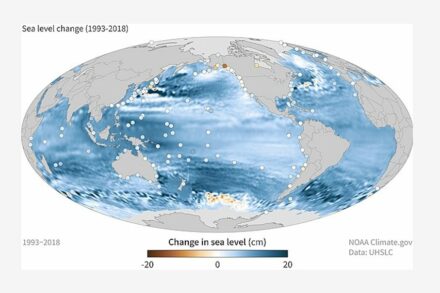 Die Karte zeigt Veränderungen im Meeresniveau zwischen 1993 und 2018. Quelle: Wikimedia Commons / NOAA