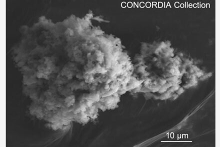 Electron micrograph of a Concordia micrometeorite extracted from Antarctic snow at Dome C. Source: Cécile Engrand/Jean Duprat