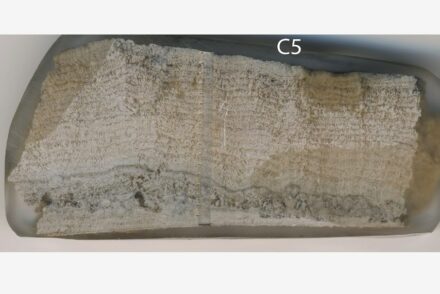 Carbonate deposit from the aqueduct system of Constantinople showing around 25 annual layers. Photo: Cees Passchier