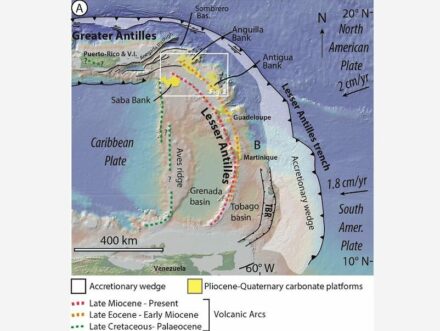 Geological context of the studied area (white rectangle), at the junction between the underwater mountain Aves Ridge, the Lesser Antilles and the Greater Antilles. Source: Cornée et al.