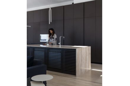 Rab architects: DK House.
