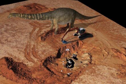Australotitan cooperensis Konstantinov. Credit: Eroman Museum