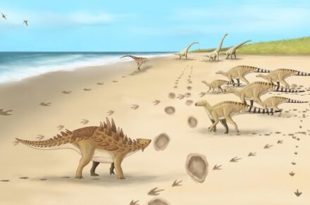 A palaeoartist's impression of the dinosaurs and their footprints. Credit: Megan Jacobs, University of Portsmouth