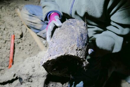 13,000-year-old tree trunk from the volcanic deposits of the Laacher See eruption in the vicinity of Miesenheim, Germany. Photo: Olaf Jöris