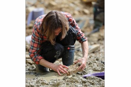 NHM curators and researchers excavating fossils.