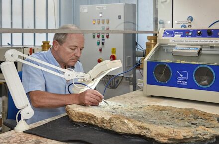 Fossil preparation at the NHM.