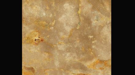 Levantina: travertine Crema Antares.