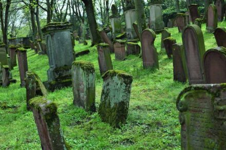 Jüdischer Friedhof Mainz. Foto: Ernst, Jürgen