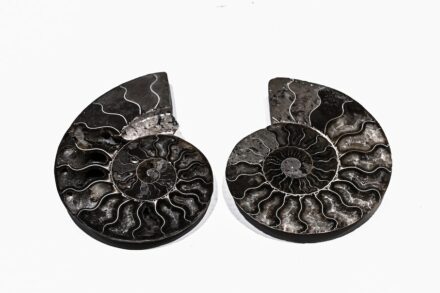 „Artifacts in Stones“. Designer: YING LIANG WU HAO YOU PIN.