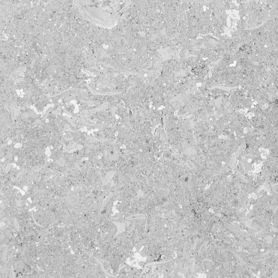 Pietra di Vicenza: Grigio Alpi®.