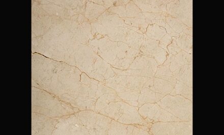 Crema Marfil Coto®.