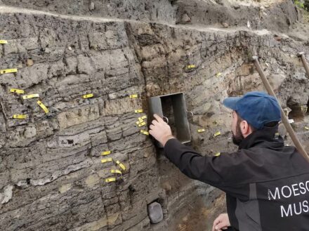Das wikingerzeitliche Ribe, Dänemark, hat eine äußerst detaillierte Stratigraphie in Hausböden, Werkstätten und Abfallablagerungen aus der Zeit von ca. 700 bis ca. 900 n. Chr. In den Schichten neben der Hand des Archäologen wurde das Miyake-Ereignis von 775 n. Chr. durch Radiokohlenstoffdatierung nachgewiesen.