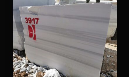 Zebrino Dolomite marble, from Dereli company.