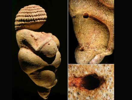 The original Venus from Willendorf. Left: lateral view. Right-top: hemispherical cavities on the right haunch and leg. Right bottom: existing hole enlarged to form the navel. Source: Kern, A. & Antl-Weiser, W. Venus. (Edition-Lammerhuber, 2008)