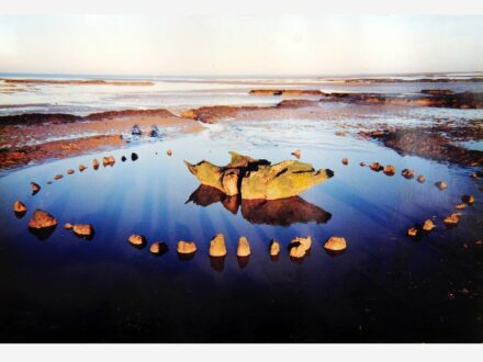 Seahenge at the time of excavation. Photo: Wendy George