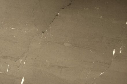 Vinalmont Limestone (Calcaire de Meuse). polished.