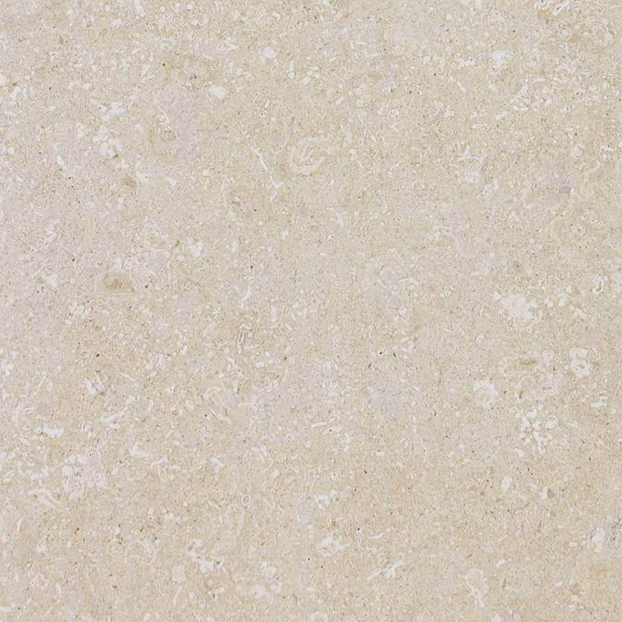 PIETRA DEL MARE, a bright straw-yellow limestone with a sedimentary matrix often including small fossils, from Italian Grassi Pietre company
