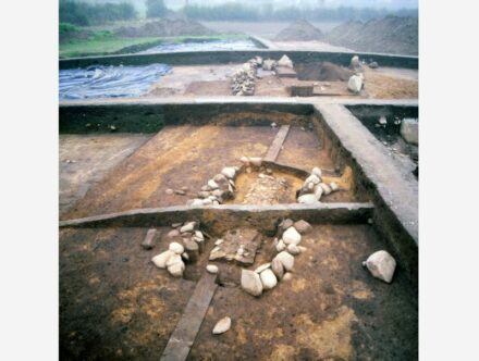 Ansicht von Südwesten auf das Langbett Flintbek LA 3. Es besteht aus einer Ansammlung mehrerer Dolmen und Einzelgräber. Im Vordergrund ist ein Einzelgrab zu sehen. Es ist mit einer Bodenpflasterung aus flachen Steinplatten ausgestattet und der Rand besteht aus vielen Steinen, zwischen denen ursprünglich eine zeltartige Holzkonstruktion fußte. Diese spezifische Architektur ist nach einem Fundplatz in Dänemark als Typ Konens Høj benannt. Foto: Dieter Stoltenberg