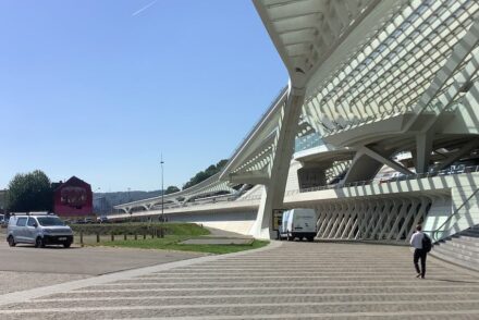 Santiago Calatrava: New Guillemins train station in Liège, Belgium.