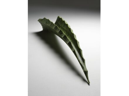 ALOACEA. Production: Margraf. Material: Verde Giada.