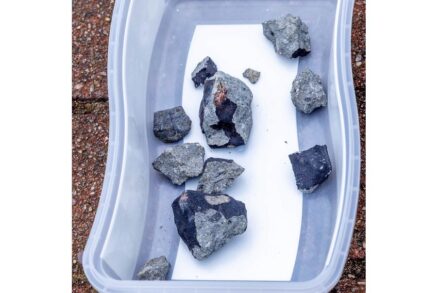 Beim Aufprall auf ein Elmshorner Hausdach zerbrach der Steinmeteorit in mehrere Teile. Elf Fragmente konnten am Tag des Meteoritenfalls gefunden und geborgen werden. Die rote Farbe stammt von den beschädigten Dachpfannen. Foto: Carsten Jonas, AKM