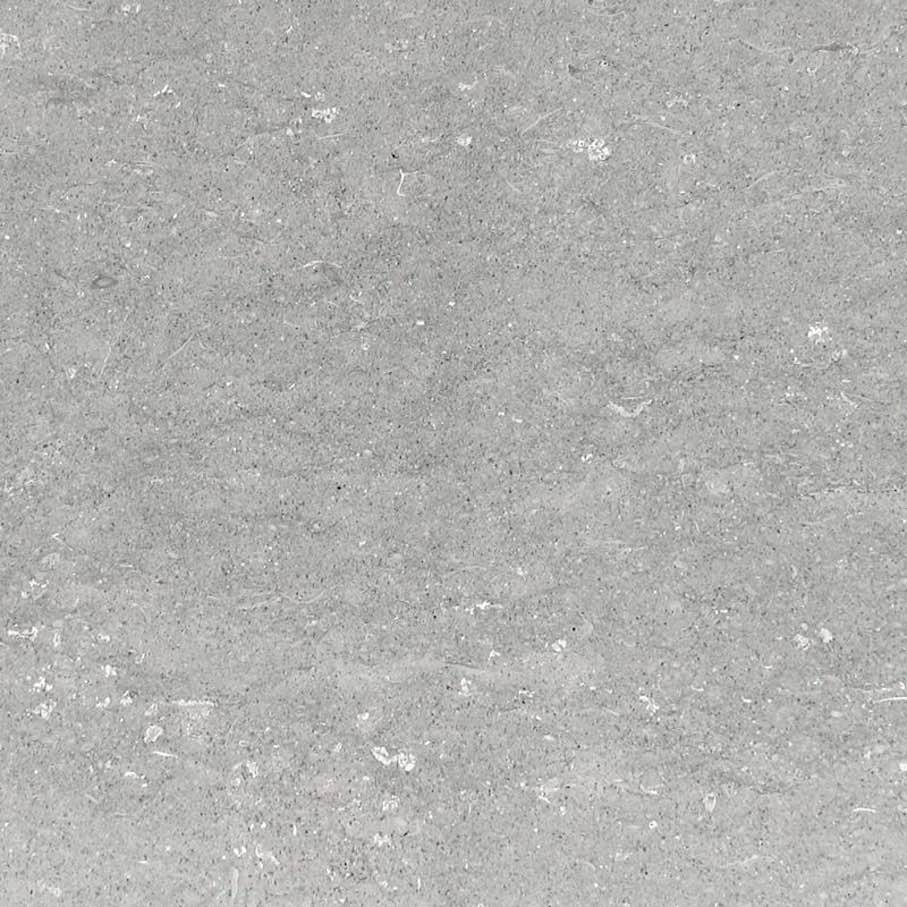 GRIGIO ARGENTO, a limestone (Pietra di Vicenza) with gray color and homogenous structure, mined only in only underground quarrying in the Berici Hills near the city of Vicenza