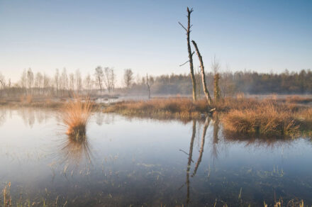 Moorlandschaft Bourtanger Moor. Foto: Dr. Erhard Nerger