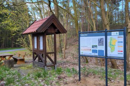 Infotafel Helter Düne Geopark Emsland. Quelle: Emsland Tourismus GmbH