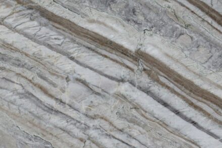 Corteccia.