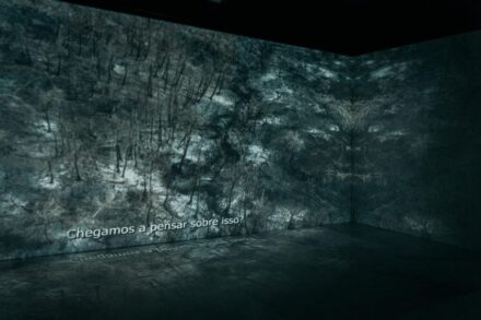 “A Matter of Stone“: Brazilian Pettrus company.