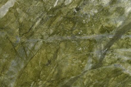 Alga Green