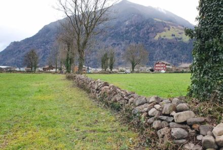 Wiederhergestellte Feldsteinmauer in Bürglen, Schweiz. Foto: Bümausa-Projekt