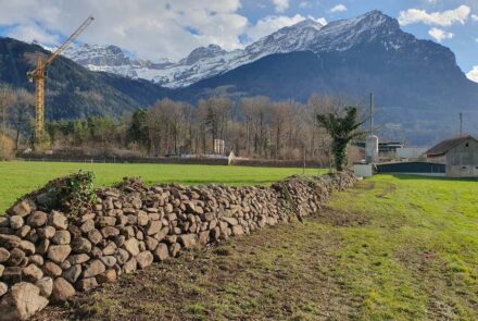 Wiederhergestellte Feldsteinmauer in Bürglen, Schweiz. Foto: Bümausa-Projekt