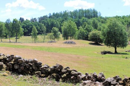 Mauern und Haufen von Feldsteinen im Örkelljunga Freilichtmuseum, Schweden. Foto: Dguendel / <a href="https://commons.wikimedia.org/"target="_blank">Wikimedia Commons</a>