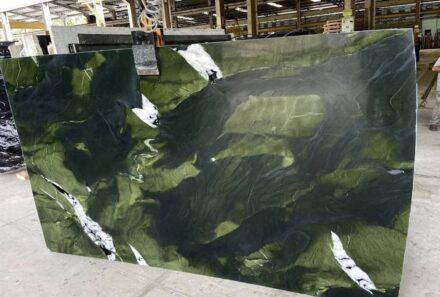 Exotic granite Avocatus.