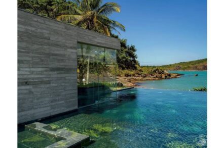 Exotic granite Avocatus.