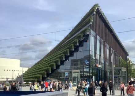 „Kö-Bogen 2“ von ingenhoven architects in Düsseldorf mit Hainbuchenhecken an der Fassade, um den Kühlungseffekt der Pflanzen zu nutzen.