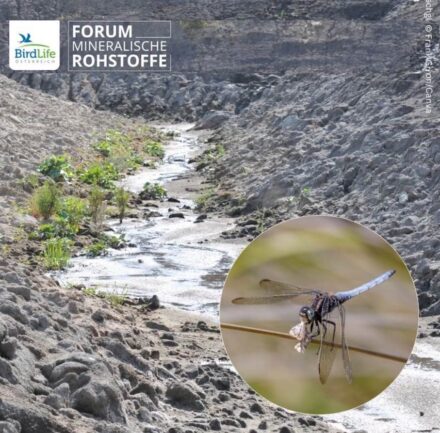 Symposium Poster of the Austrian Working Group Forum Raw Materials.