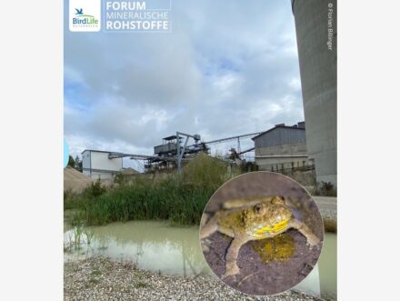 Symposium Poster of the Austrian Working Group Forum Raw Materials.