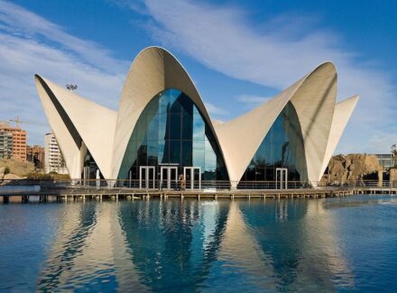 The Oceanogràfic in Valencia, Spain. Photo: Diliff / <a href="https://commons.wikimedia.org/"target="_blank">Wikimedia Commons</a>, <a href=" https://en.wikipedia.org/wiki/Creative_Commons_license"target="_blank">Creative Commons License</a>
