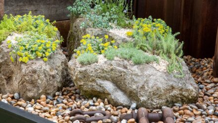 „mgr Changing Tides Garden“. Design: Lucy Mitchell, Ausführung: Big Fish Landscapes
