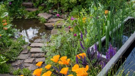 Der „Flood Re: The Flood Resilient Garden“. Design: Naomi Slade & Dr Ed Barsley; Ausführung: Belderbos Landscapes, in association with Water Artisans