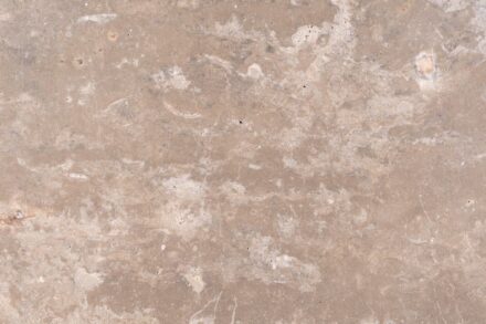 Dietfurt Dolomite® (Wachenzeller Dolomite), brushed.